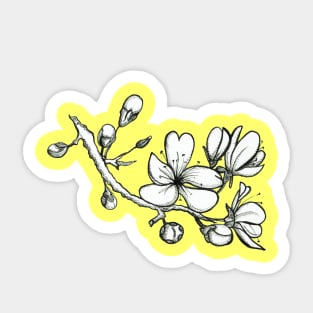 Sakura Sticker